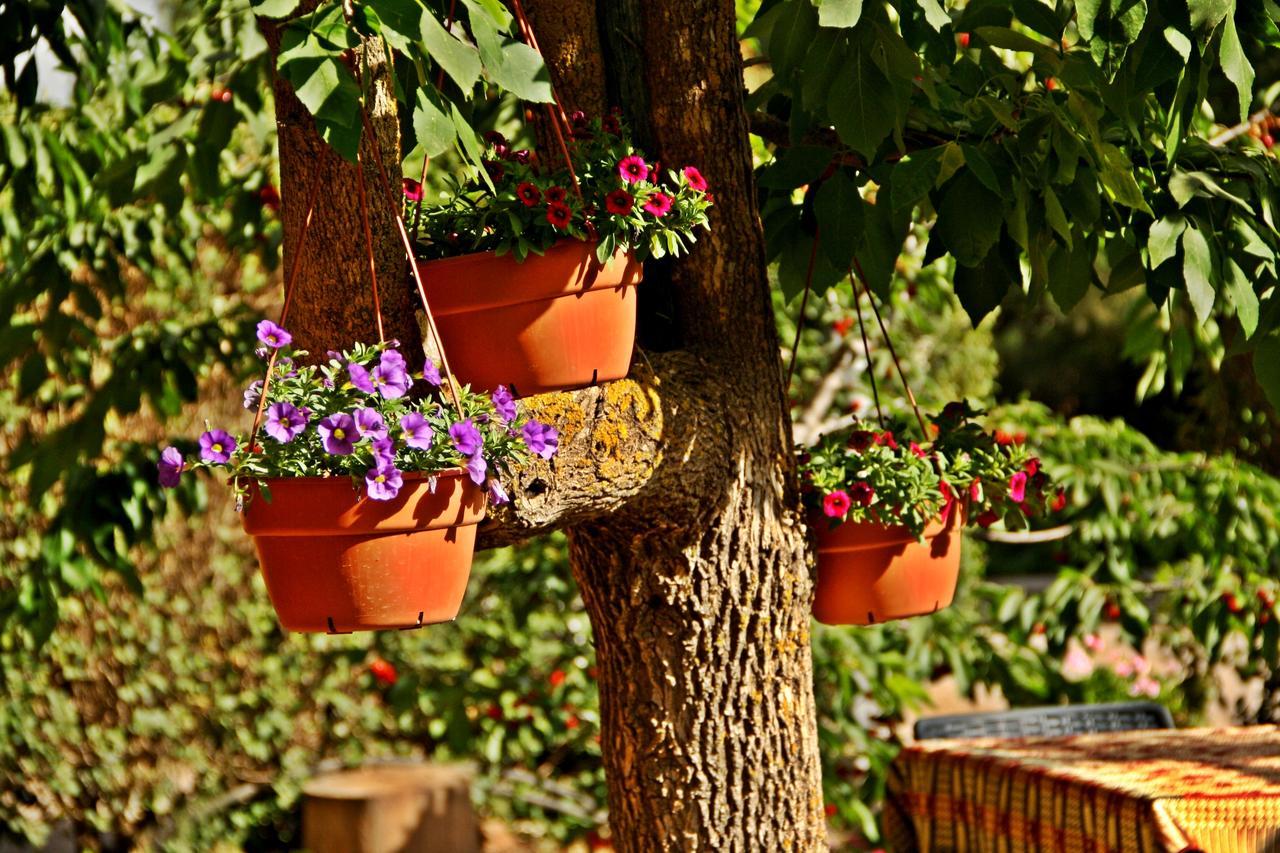 Suzanna In Odem Villa Dış mekan fotoğraf