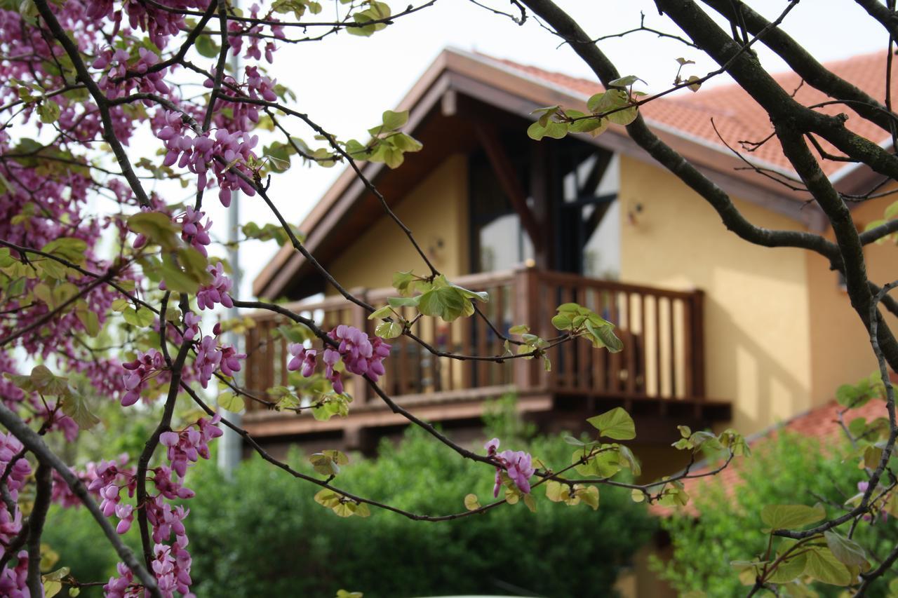Suzanna In Odem Villa Dış mekan fotoğraf